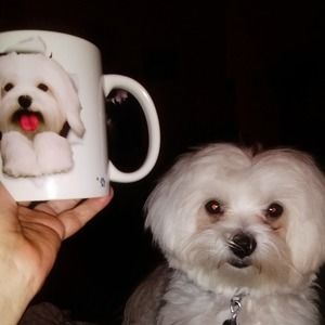 Meet your Posher, Jane stacks